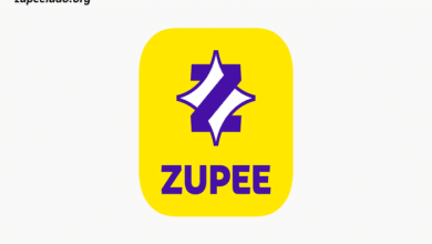 Ludo Zupee